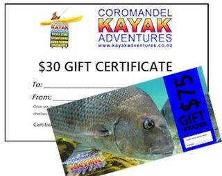 Gift Vouchers - Coromandel Fish and Kayak