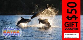 CFK Gift Voucher - Dolphins $50-$100