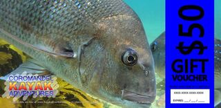 CFK Gift Voucher - Snapper from $50 - $100
