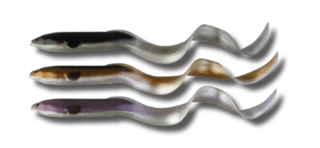 Savage Real Eel 16cm