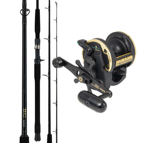 Daiwa Sealine SL20-SH and BG Bluewater 64BJB Combo