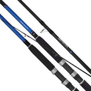 Daiwa 21 Sensor Wave 1303HFS Surf Rod